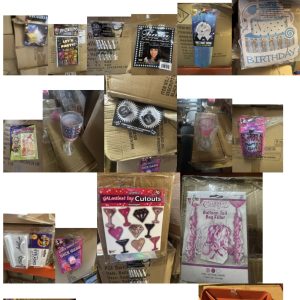 Assorted Assorted Rubies Party Goods 200k Inventory On 120 Pallets- 130 pallets